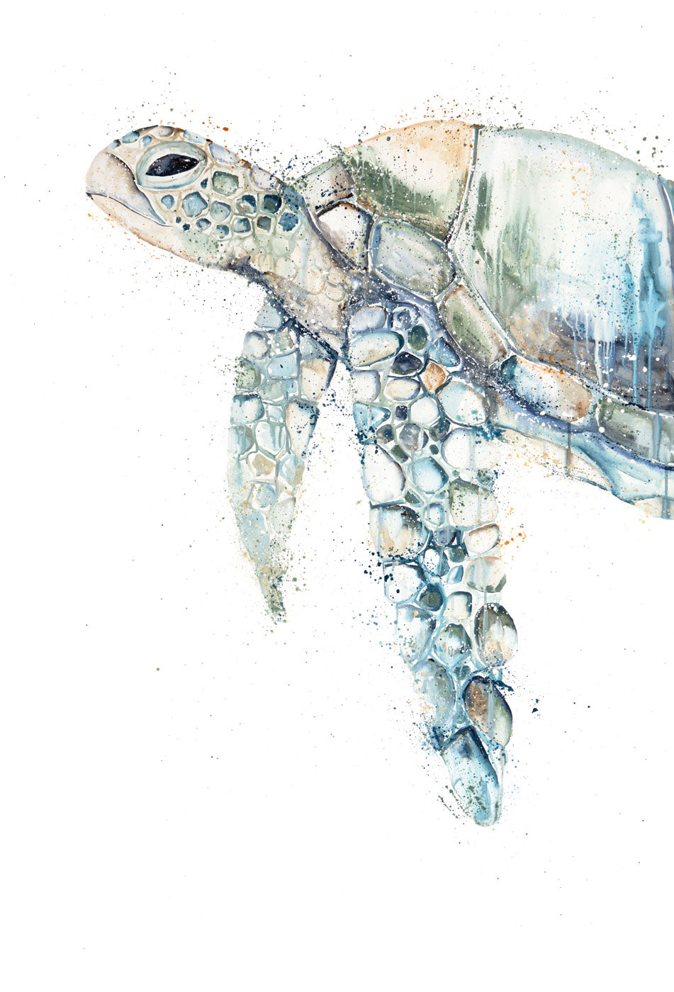 Renegade by Stephanie Elizabeth – unframed rolled paper print of humpback whale in motion, fine art marine life print