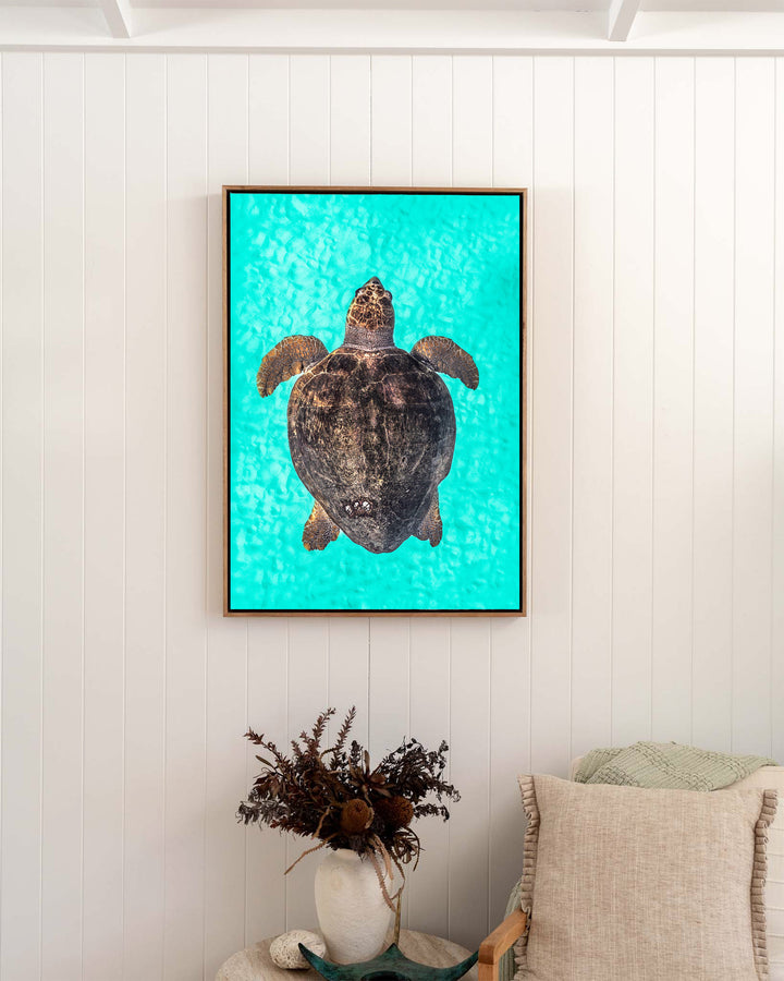 Rust and Sand – Loggerhead Turtle, Underwater Photography by David Lloyd, framed canvas print in oak float frame, styled in a bedroom setting