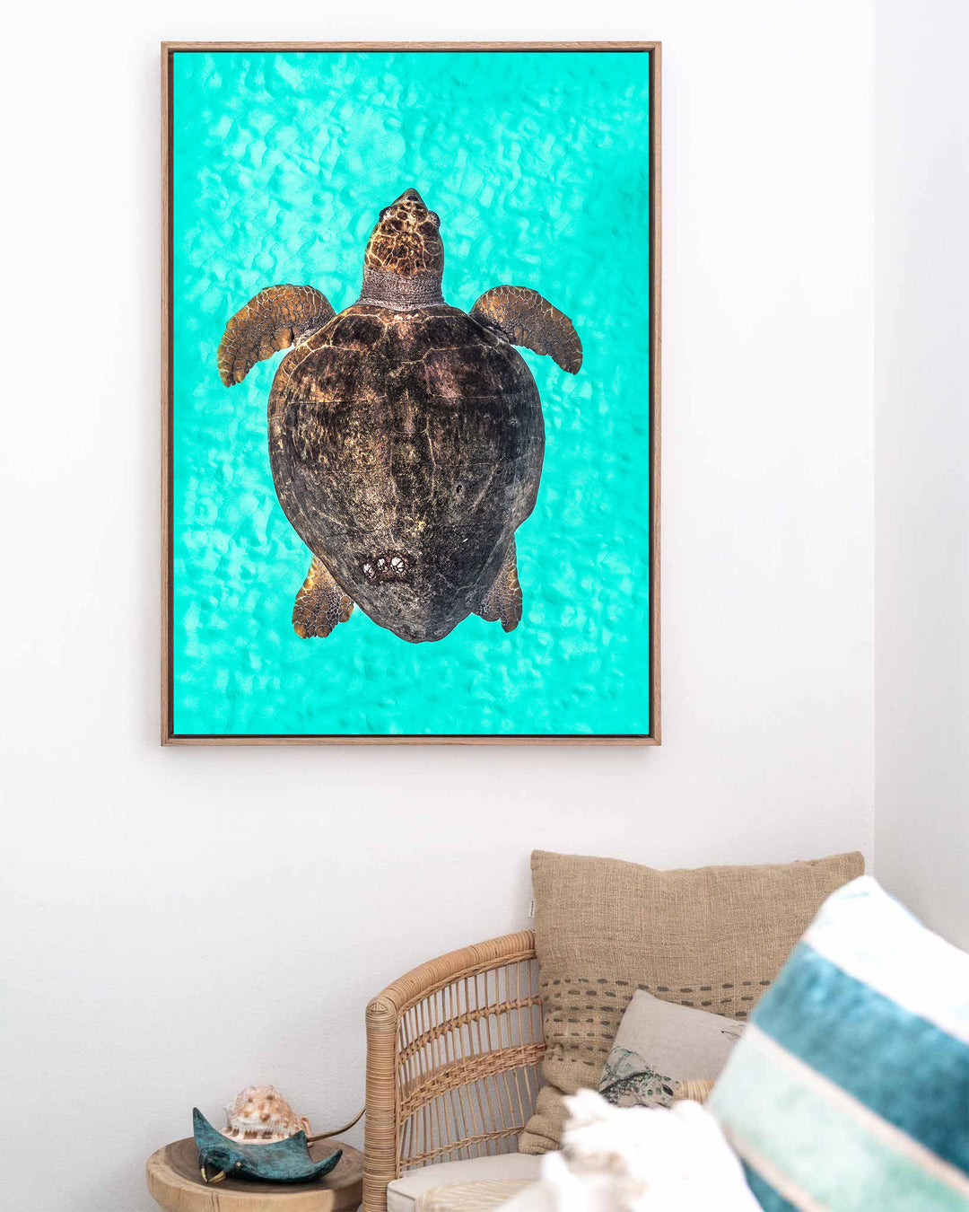 Rust and Sand – Loggerhead Turtle, Underwater Photography by David Lloyd, framed canvas print in oak float frame, styled in a coastal lounge setting