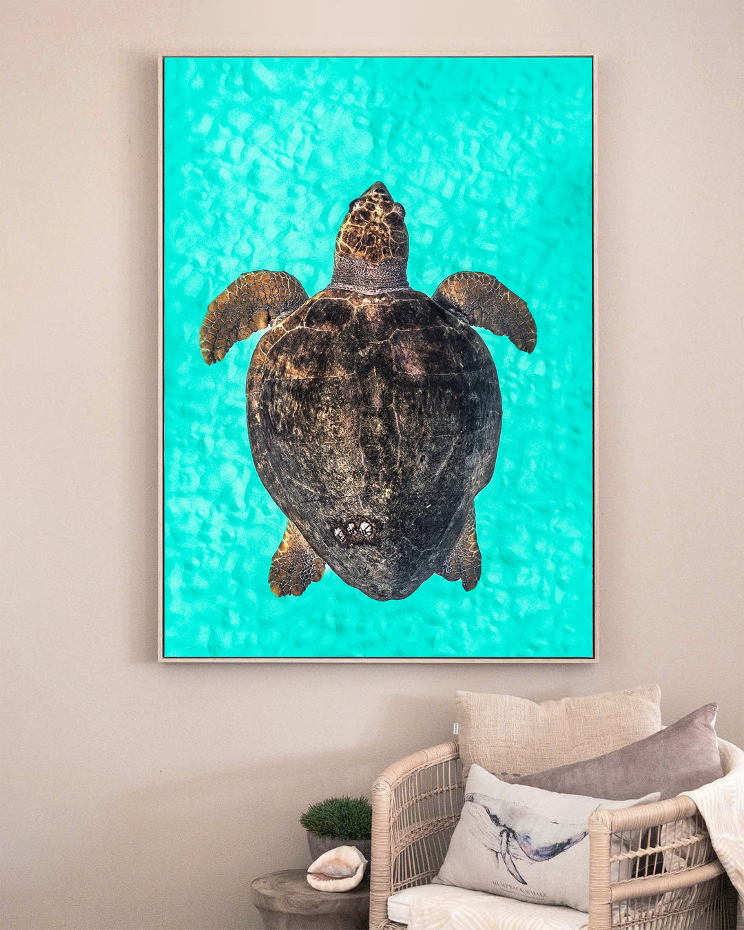 Rust and Sand – Loggerhead Turtle, Underwater Photography by David Lloyd, framed canvas print in oak float frame, styled in a sitting room setting
