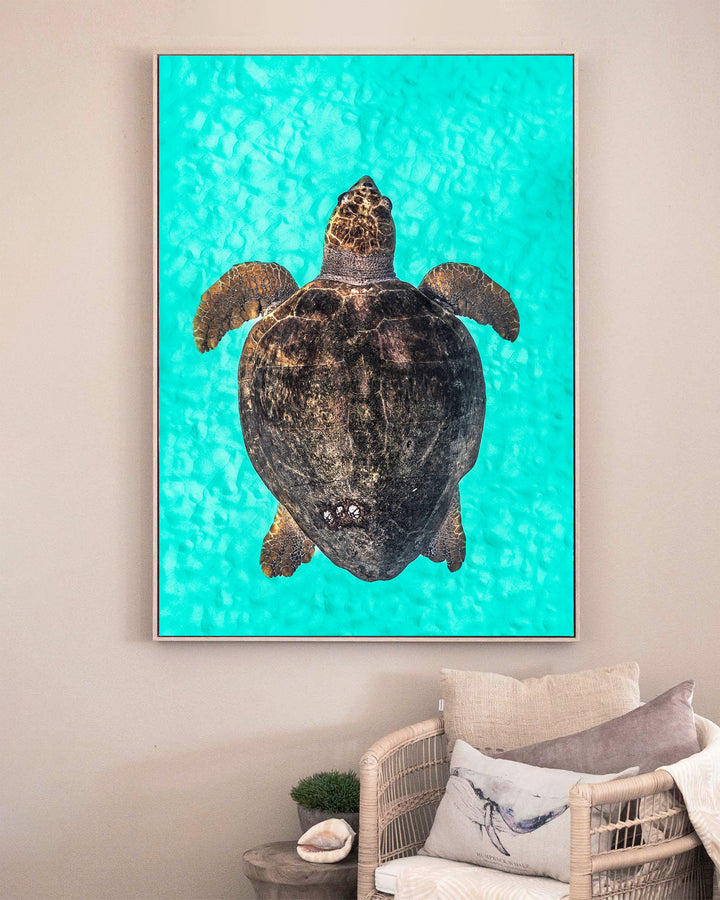 Rust and Sand – Loggerhead Turtle, Underwater Photography by David Lloyd, framed canvas print in oak float frame, styled in a sitting room setting
