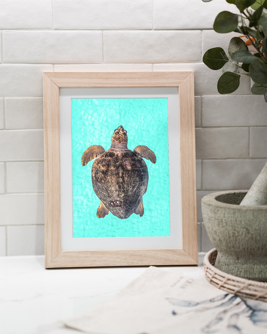 Rust and Sand – Loggerhead Turtle, Underwater Photography by David Lloyd, framed paper print in oak frame, styled in a kitchen bench setting
