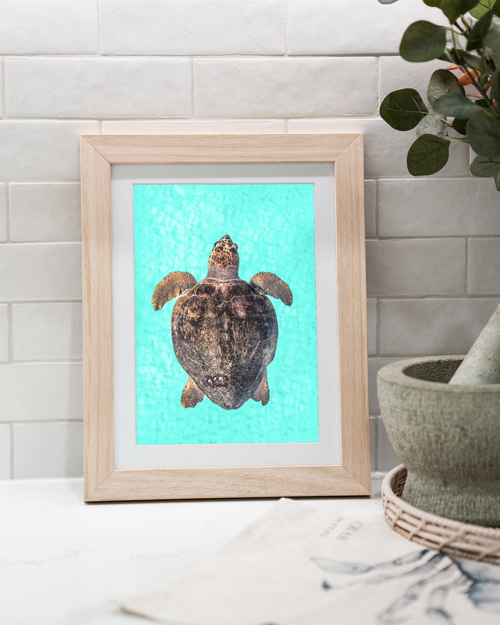 Rust and Sand – Loggerhead Turtle, Underwater Photography by David Lloyd, framed paper print in oak frame, styled in a kitchen bench setting