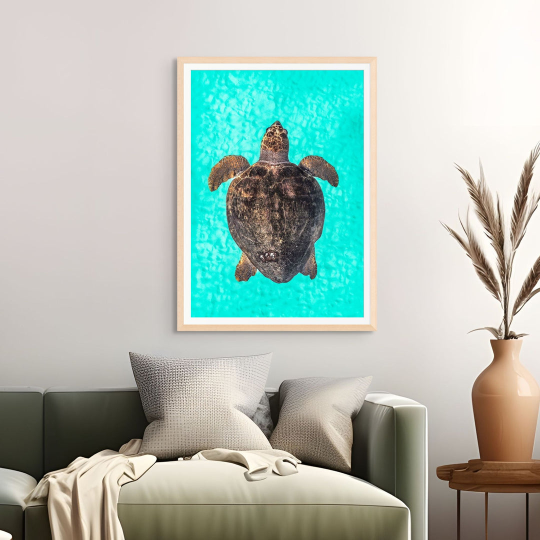 Rust and Sand by David Lloyd – Loggerhead turtle underwater, fine art marine life photography print