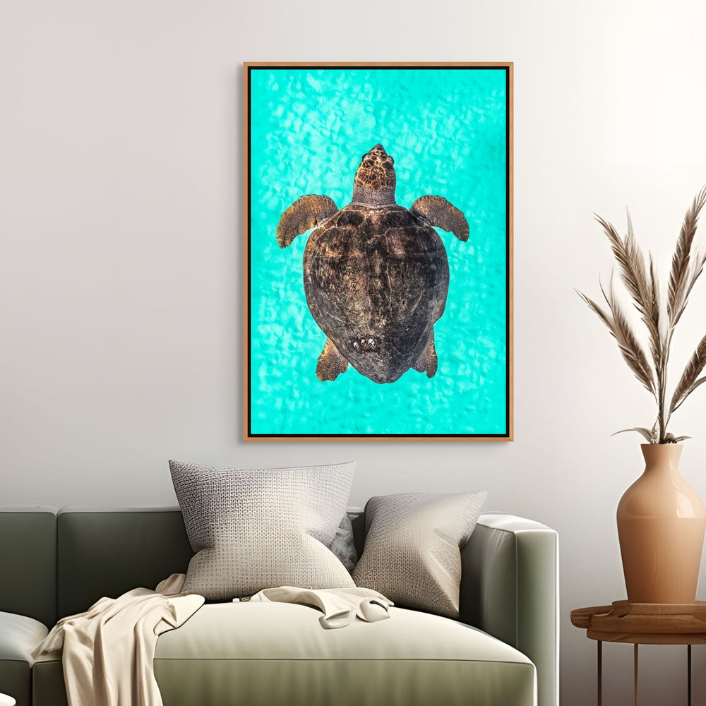 Rust and Sand by David Lloyd – Loggerhead turtle underwater, fine art marine life photography print