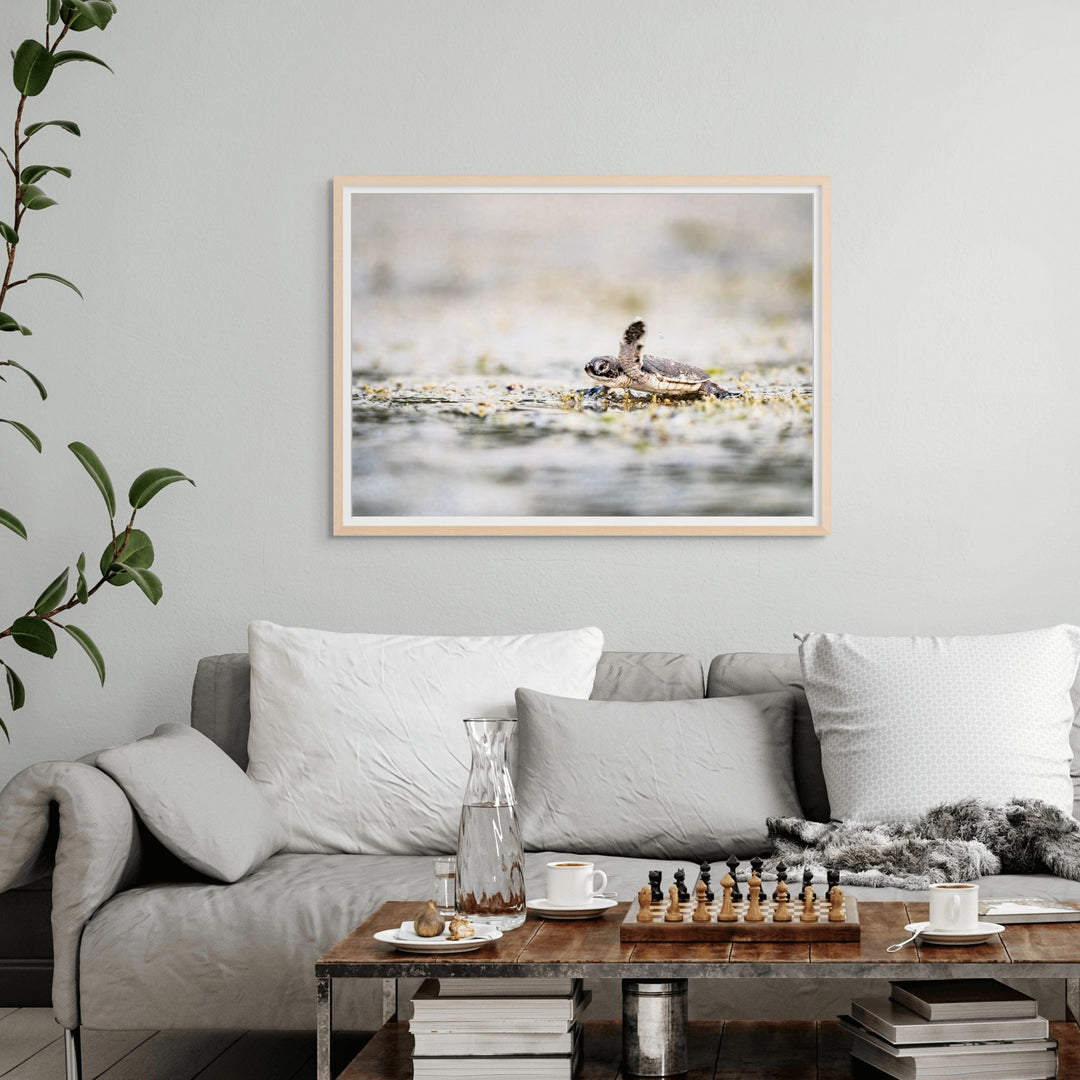 Seaward Bound by David Lloyd – newborn turtle heading to the ocean, fine art marine life photography print