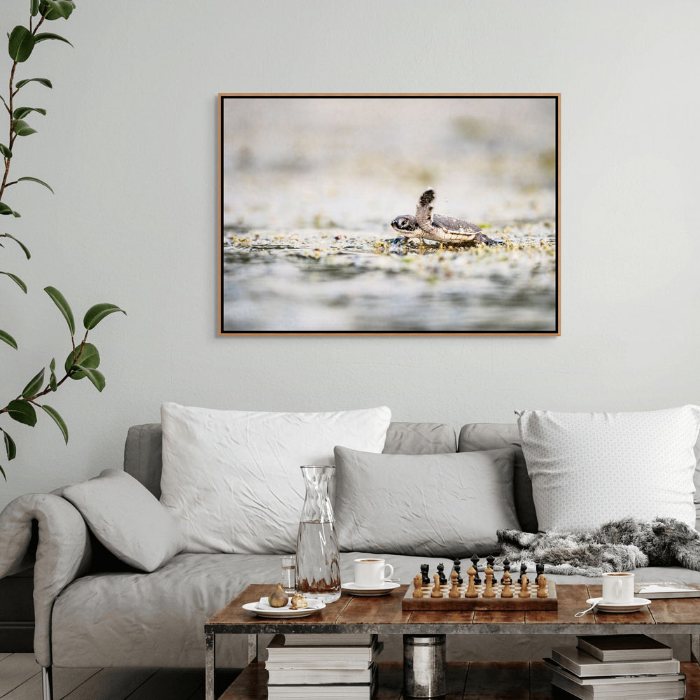Seaward Bound by David Lloyd – newborn turtle heading to the ocean, fine art marine life photography print