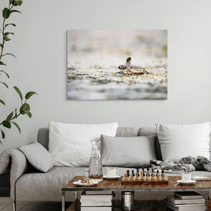 Seaward Bound by David Lloyd – newborn turtle heading to the ocean, fine art marine life photography print