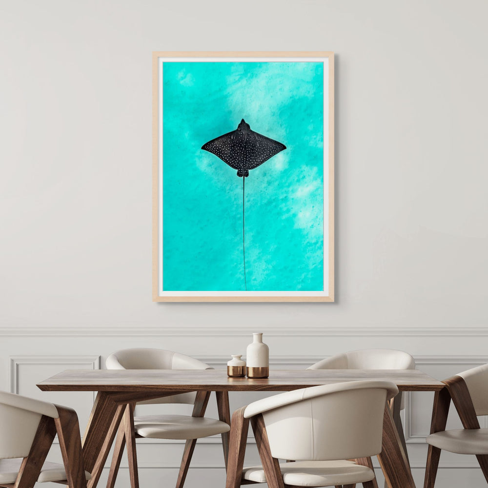 Silent Flight – underwater photograph of eagle ray gliding through clear ocean water | Framed Paper Print
