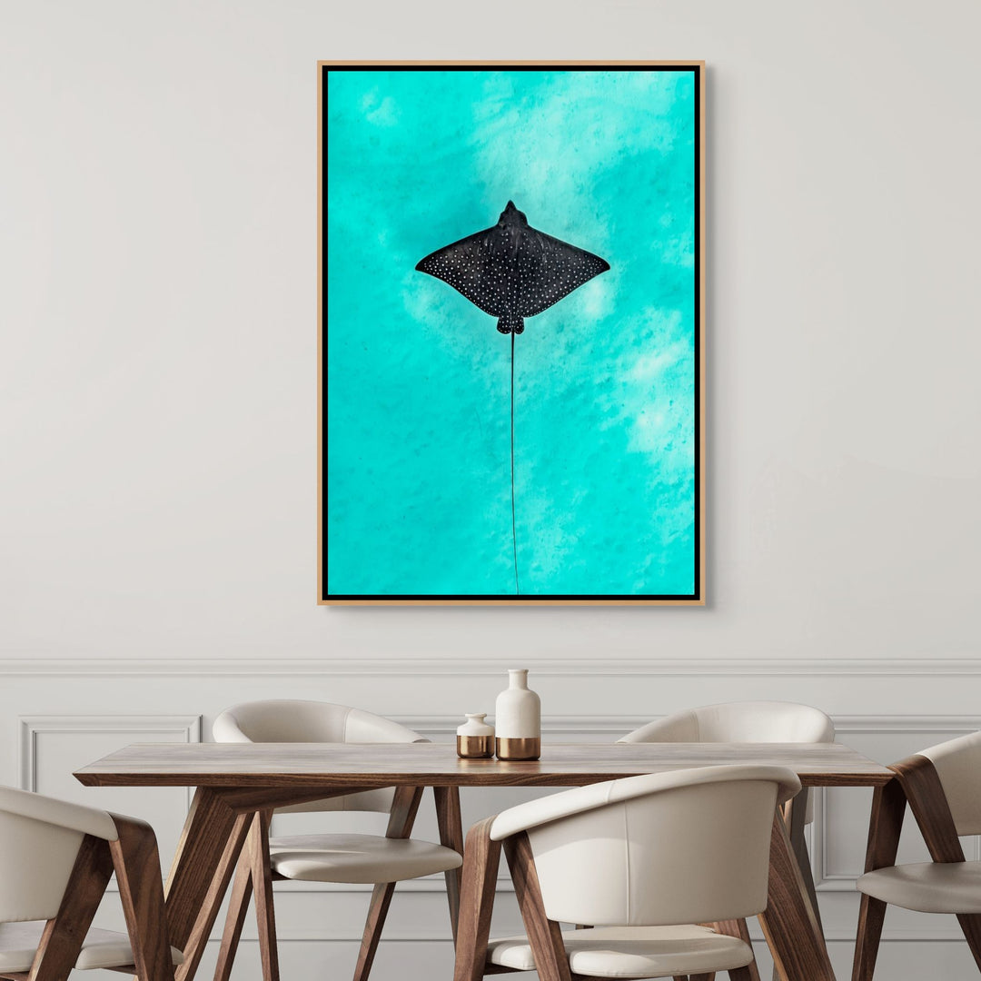 Silent Flight – underwater photograph of eagle ray gliding through clear ocean water | Shadow Box Canvas Print