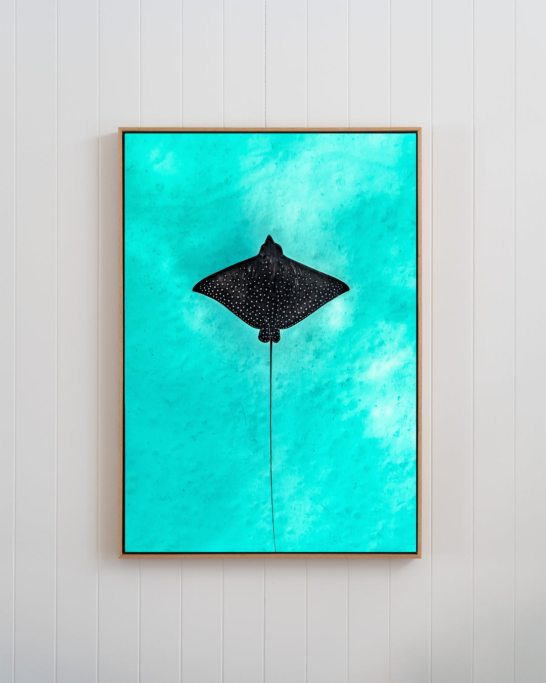 Silent Flight - Eagle Ray | Underwater Photography