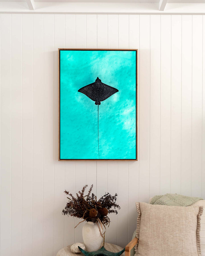 Silent Flight – Eagle Ray, Underwater Photography by David Lloyd, framed canvas print in oak float frame, styled in a bedroom setting