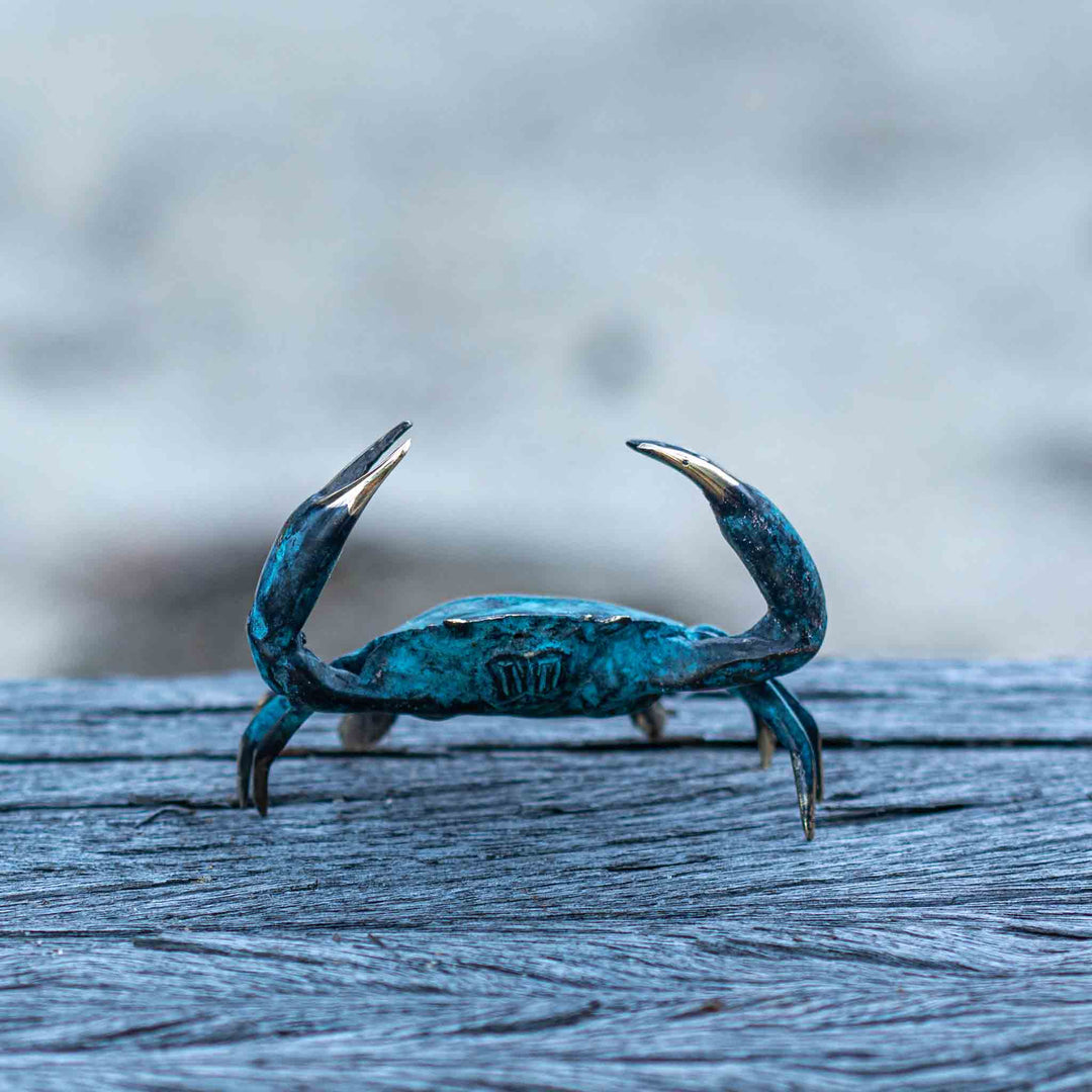 Small Crab | Aged Brass