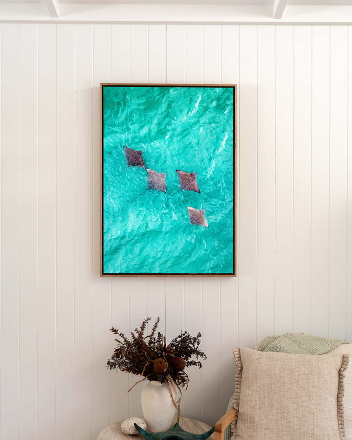 Spotlights in the Shallows – Eagle Rays, Aerial Photography by David Lloyd, framed canvas print in oak float frame, styled in a bedroom setting