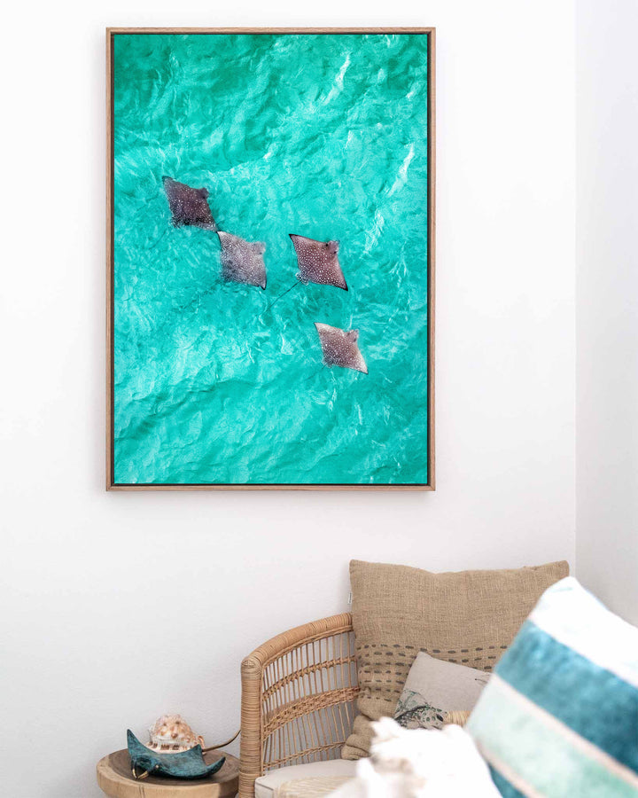 Spotlights in the Shallows – Eagle Rays, Aerial Photography by David Lloyd, framed canvas print in oak float frame, styled in a coastal lounge setting