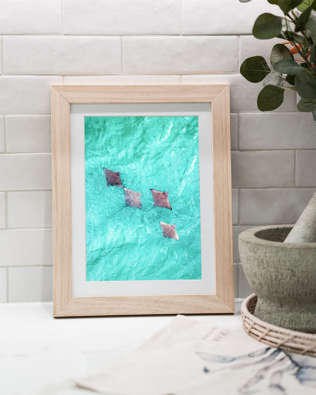 Spotlights in the Shallows – Eagle Rays, Aerial Photography by David Lloyd, framed paper print in oak frame, styled in a kitchen bench setting