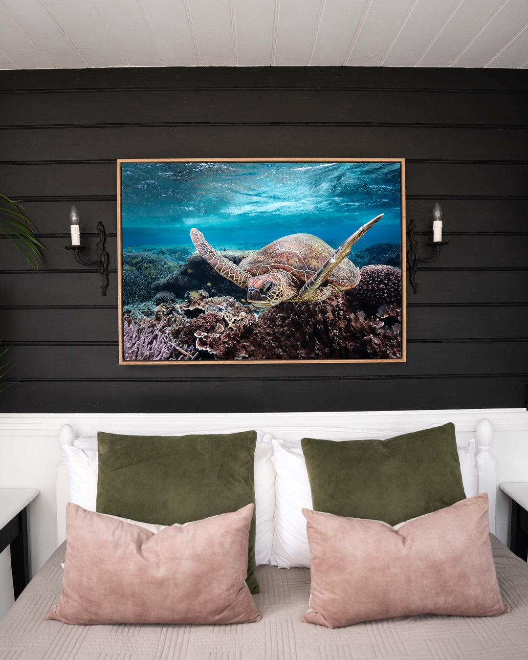 Stuck in Traffic – Green Sea Turtle, Underwater Photography by David Lloyd, framed canvas print in oak float frame, styled in a bedroom setting