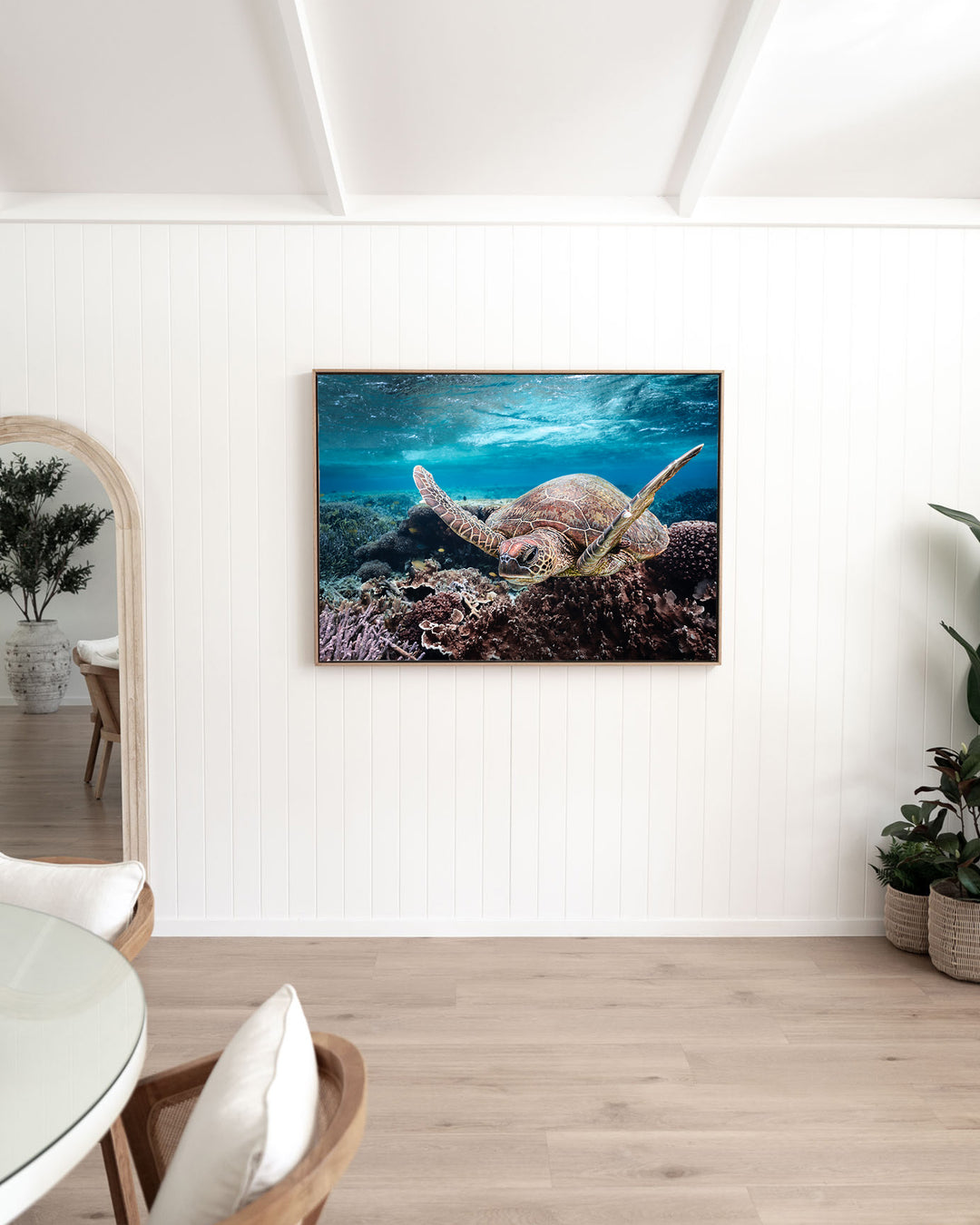 Stuck in Traffic – Green Sea Turtle, Underwater Photography by David Lloyd, framed canvas print in oak float frame, styled in a dining room setting
