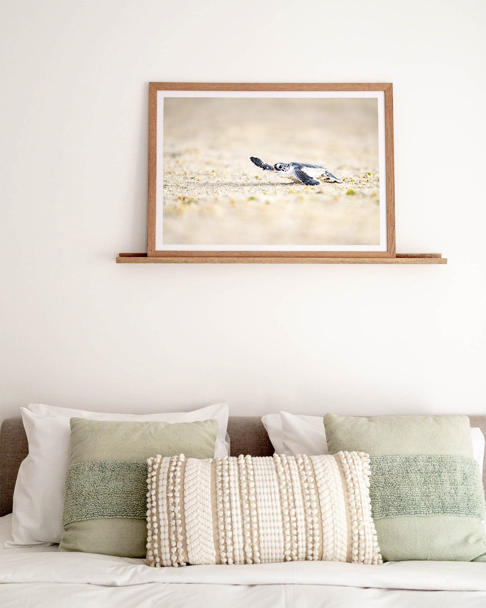Sunset Sprint – Turtle Hatchling, Ocean Photography by David Lloyd, framed paper print in oak frame, styled in a bedroom setting