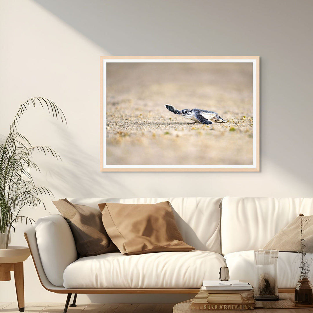 Sunset Sprint by David Lloyd – baby turtle hatchling heading toward the ocean during sunset, fine art marine life photography print