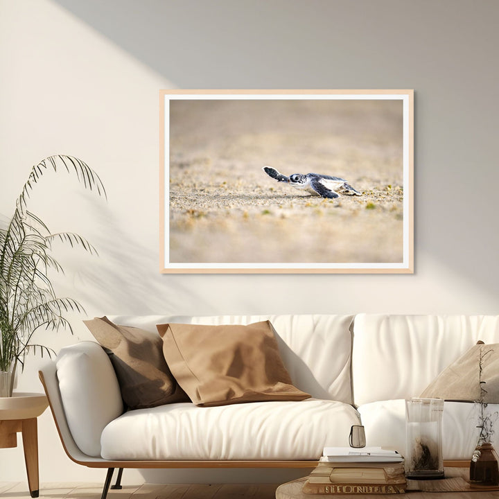 Sunset Sprint by David Lloyd – baby turtle hatchling heading toward the ocean during sunset, fine art marine life photography print