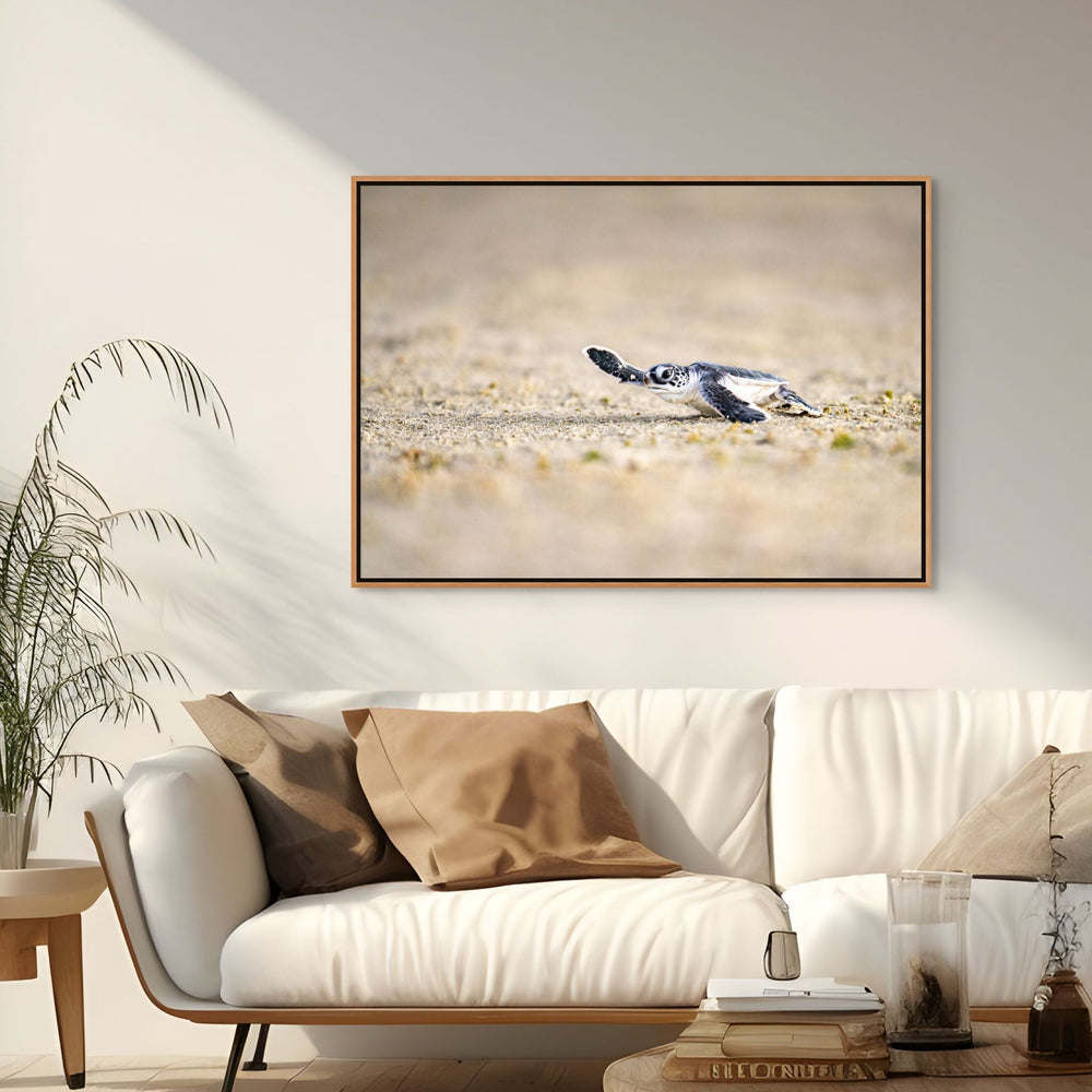 Sunset Sprint by David Lloyd – baby turtle hatchling heading toward the ocean during sunset, fine art marine life photography print