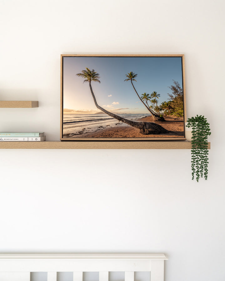Taken with the Tide – Mission Beach, Landscape Photography by David Lloyd, framed canvas print in oak float frame, styled in a timber shelf setting