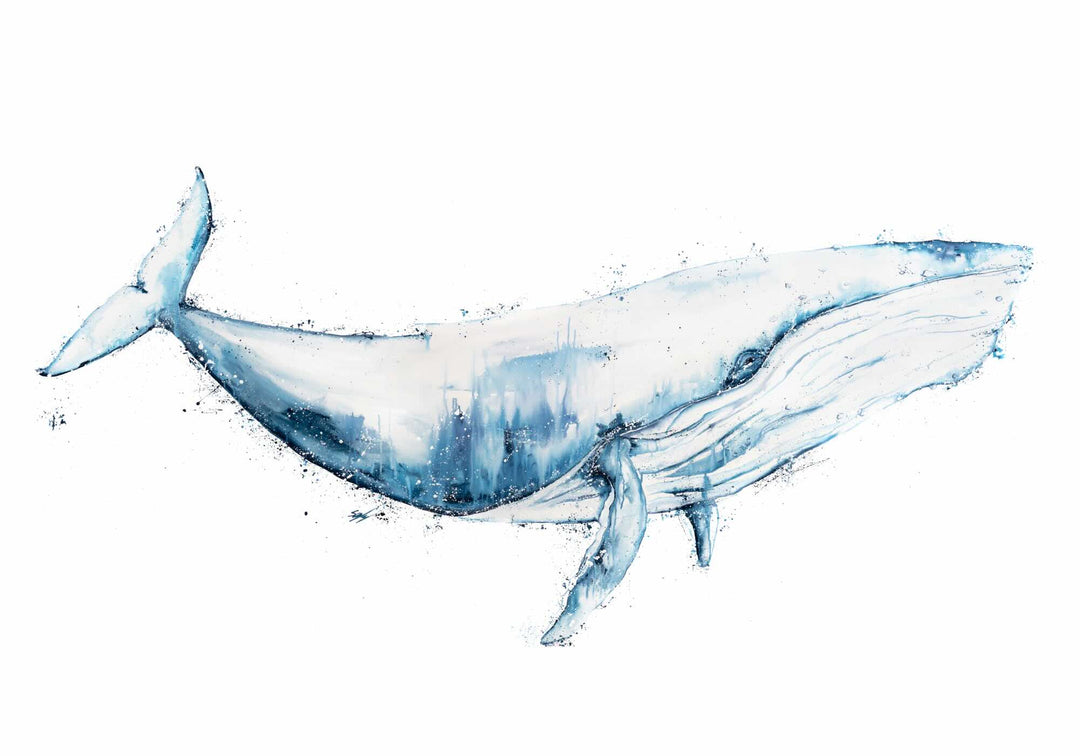 Taking the High Road – unframed rolled fine art print of a humpback whale by Stephanie Elizabeth