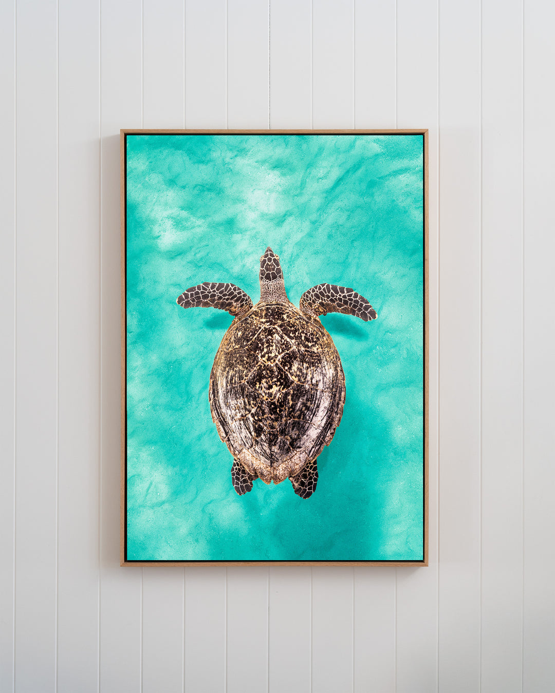 The Mosaic Drifter - Hawksbill Turtle | Underwater Photography