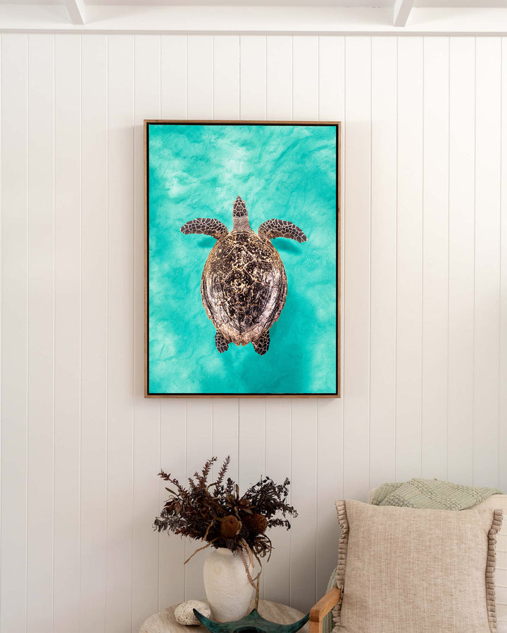 The Mosaic Drifter – Hawksbill Turtle, Underwater Photography by David Lloyd, framed canvas print in oak float frame, styled in a bedroom setting