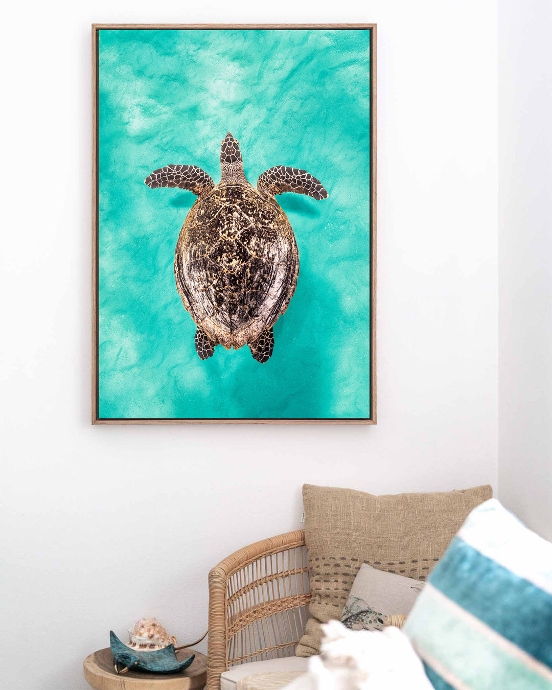The Mosaic Drifter – Hawksbill Turtle, Underwater Photography by David Lloyd, framed canvas print in oak float frame, styled in a coastal lounge setting