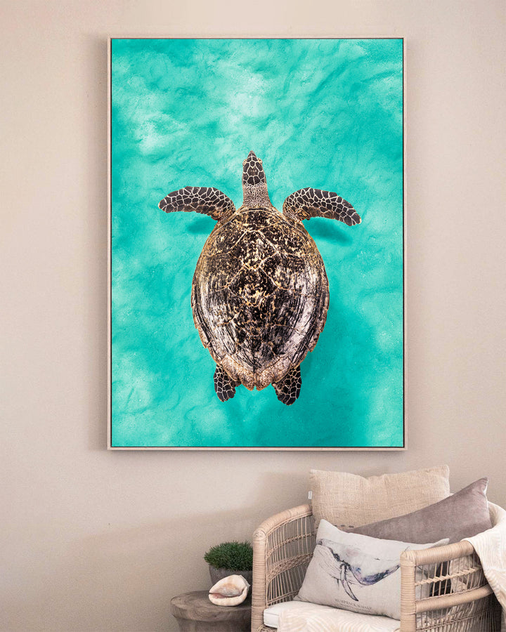 The Mosaic Drifter – Hawksbill Turtle, Underwater Photography by David Lloyd, framed canvas print in oak float frame, styled in a sitting room setting