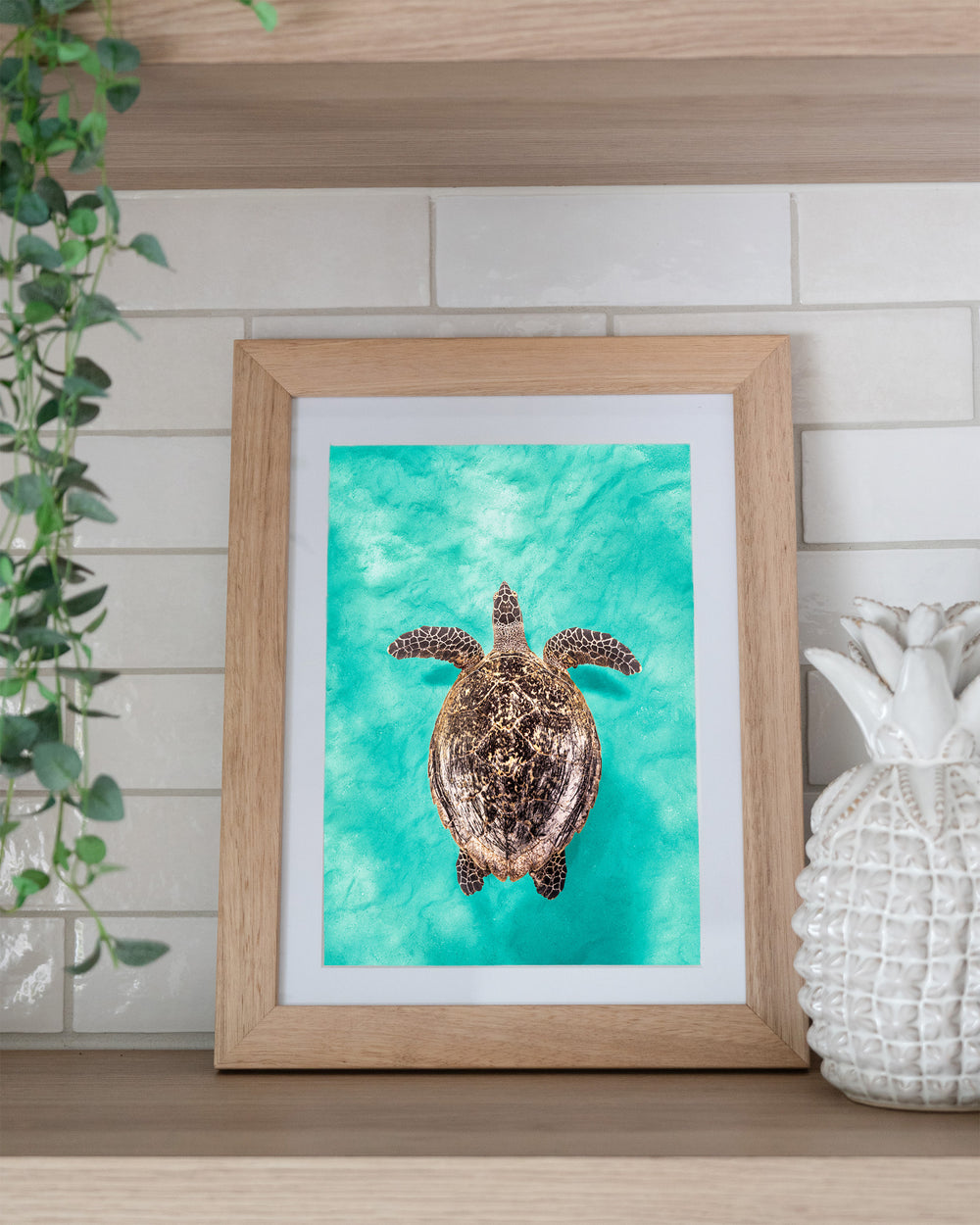 The Mosaic Drifter – Hawksbill Turtle, Underwater Photography by David Lloyd, framed paper print in oak frame, styled in a kitchen shelf setting