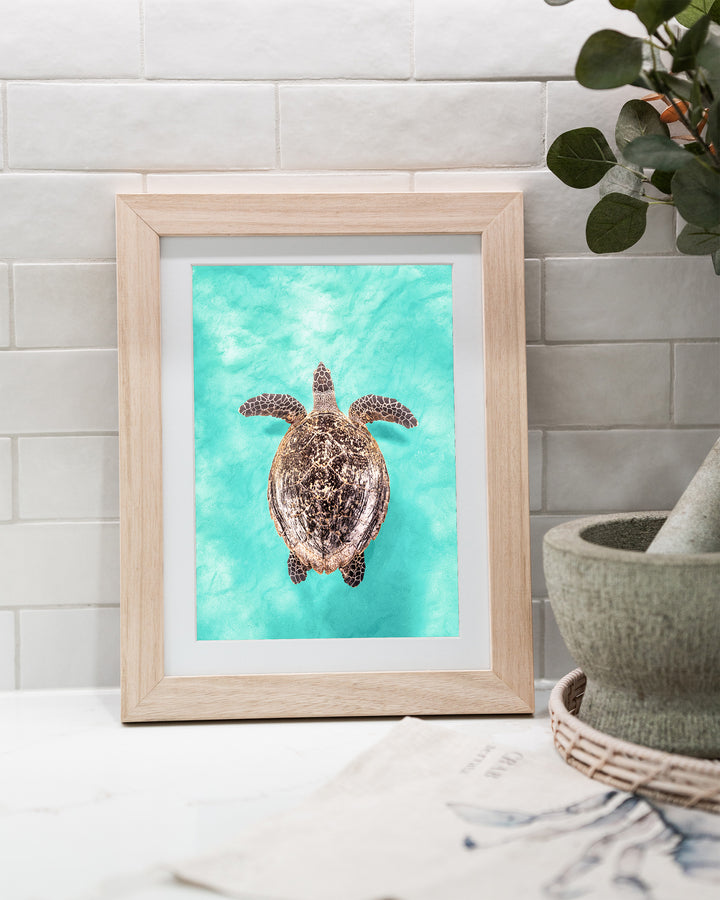 The Mosaic Drifter – Hawksbill Turtle, Underwater Photography by David Lloyd, framed paper print in oak frame, styled in a kitchen bench setting