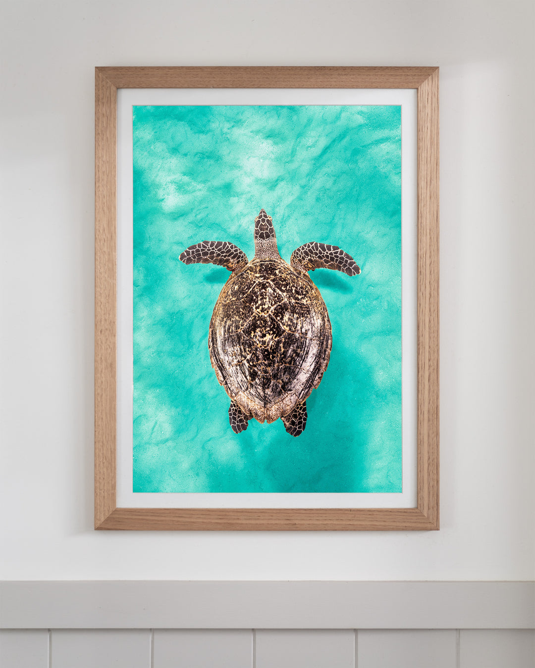 The Mosaic Drifter - Hawksbill Turtle | Underwater Photography