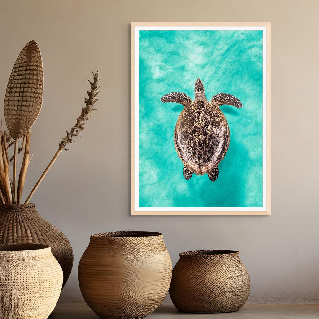 The Mosaic Drifter by David Lloyd – Hawksbill turtle swimming over turquoise sands, fine art marine life photography print