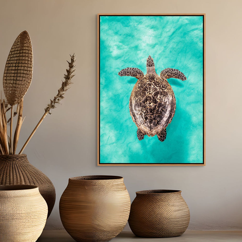 The Mosaic Drifter by David Lloyd – Hawksbill turtle swimming over turquoise sands, fine art marine life photography print