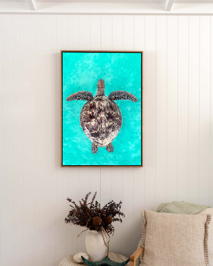 The Passage – Green Sea Turtle, Underwater Photography by David Lloyd, framed canvas print in oak float frame, styled in a bedroom setting