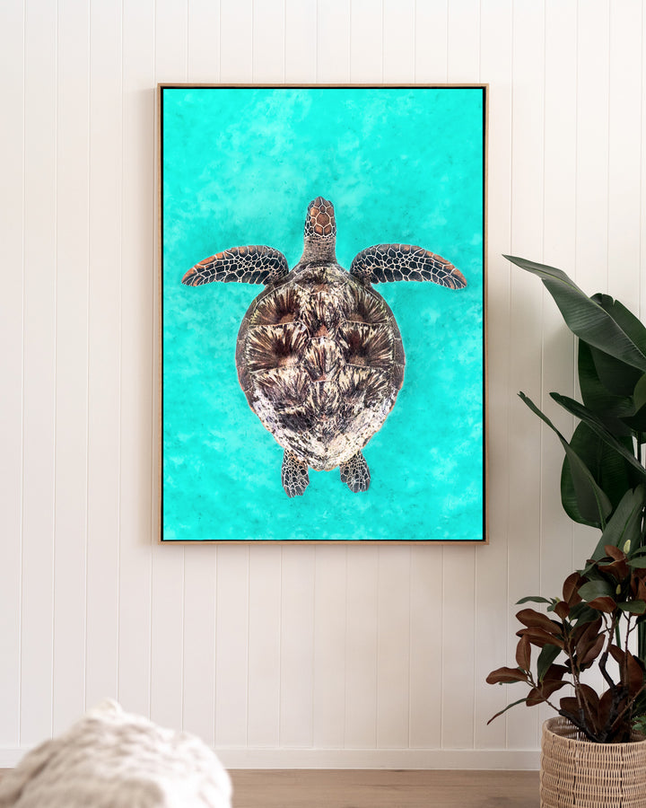 The Passage – Green Sea Turtle, Underwater Photography by David Lloyd, framed canvas print in oak float frame, styled in a living room setting