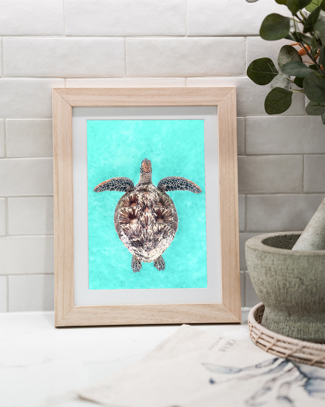 The Passage – Green Sea Turtle, Underwater Photography by David Lloyd, framed paper print in oak frame, styled in a kitchen bench setting