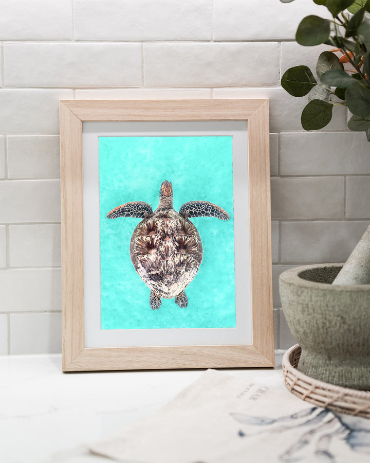 The Passage – Green Sea Turtle, Underwater Photography by David Lloyd, framed paper print in oak frame, styled in a kitchen bench setting