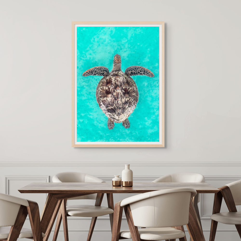 The Passage – underwater photograph of green sea turtle swimming through clear ocean water | Framed Paper Print