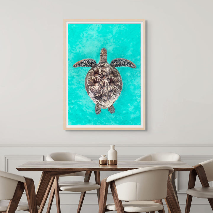 The Passage – underwater photograph of green sea turtle swimming through clear ocean water | Framed Paper Print