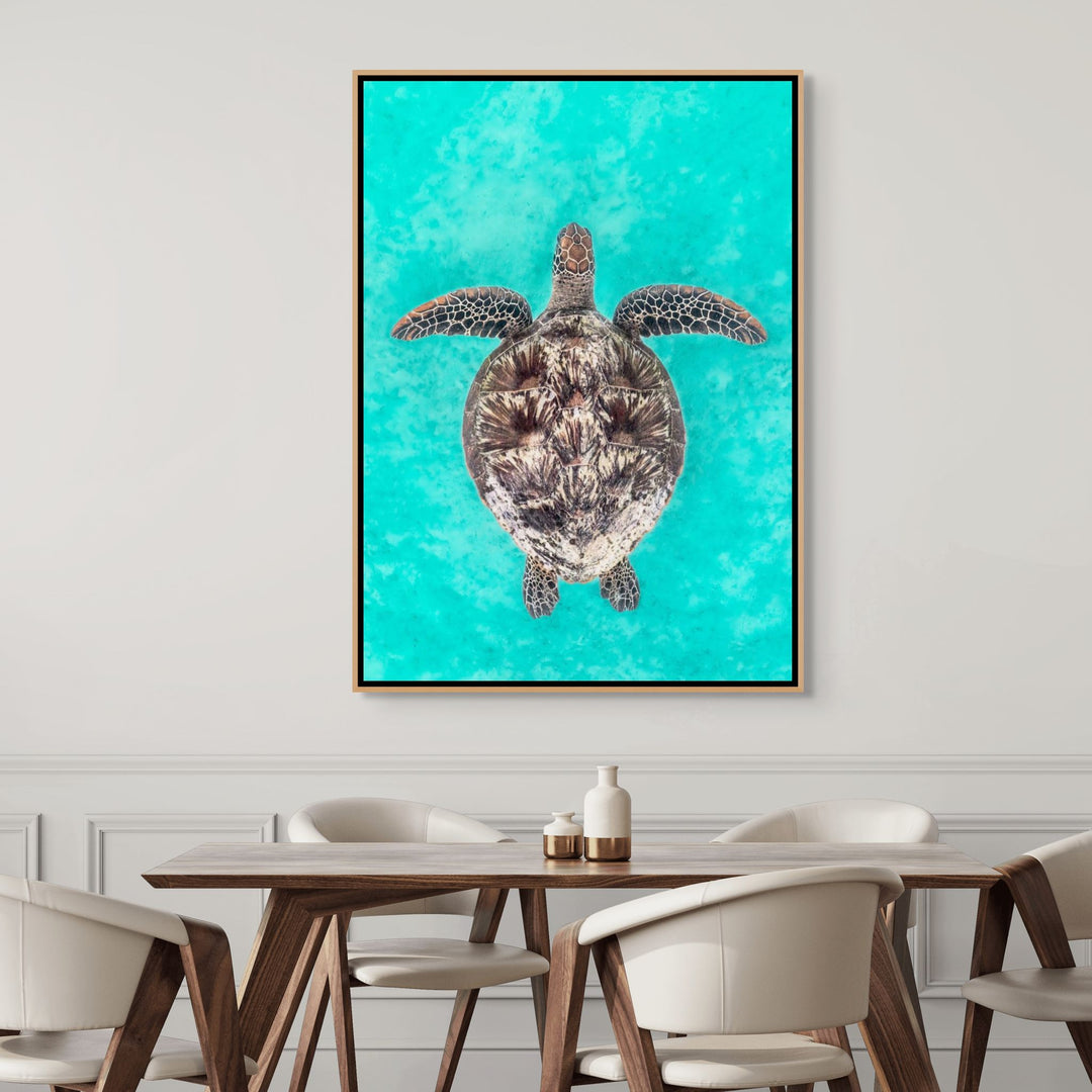The Passage – underwater photograph of green sea turtle swimming through clear ocean water | Shadow Box Canvas Print