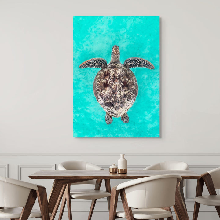 The Passage – underwater photograph of green sea turtle swimming through clear ocean water | Stretched Canvas Print