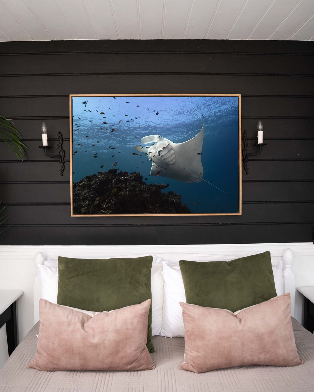 Time &amp; Time Again – Manta Ray, Underwater Photography by David Lloyd, framed canvas print in oak float frame, styled in a bedroom setting