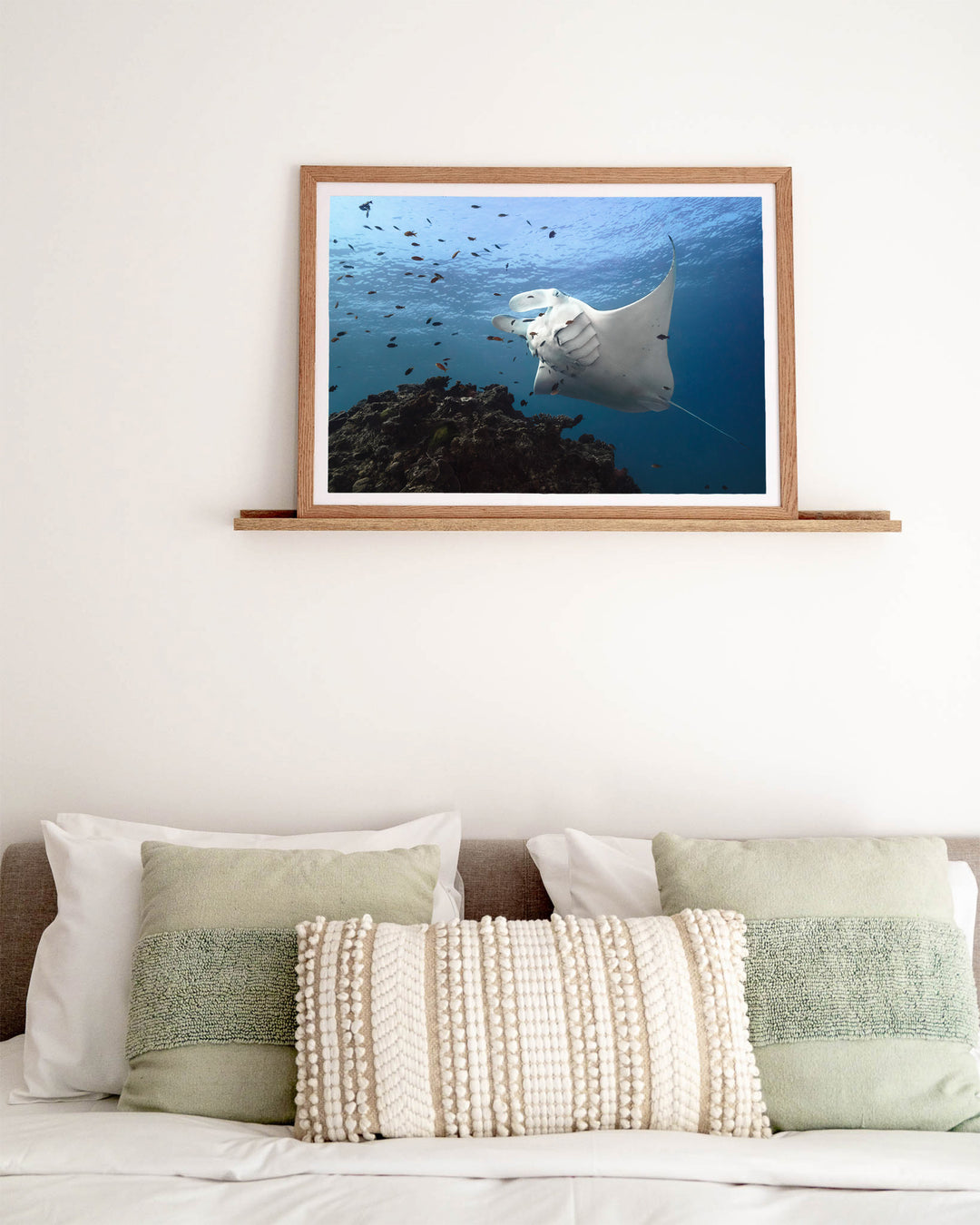 Time & Time Again – Manta Ray, Underwater Photography by David Lloyd, framed paper print in oak frame, styled in a bedroom setting