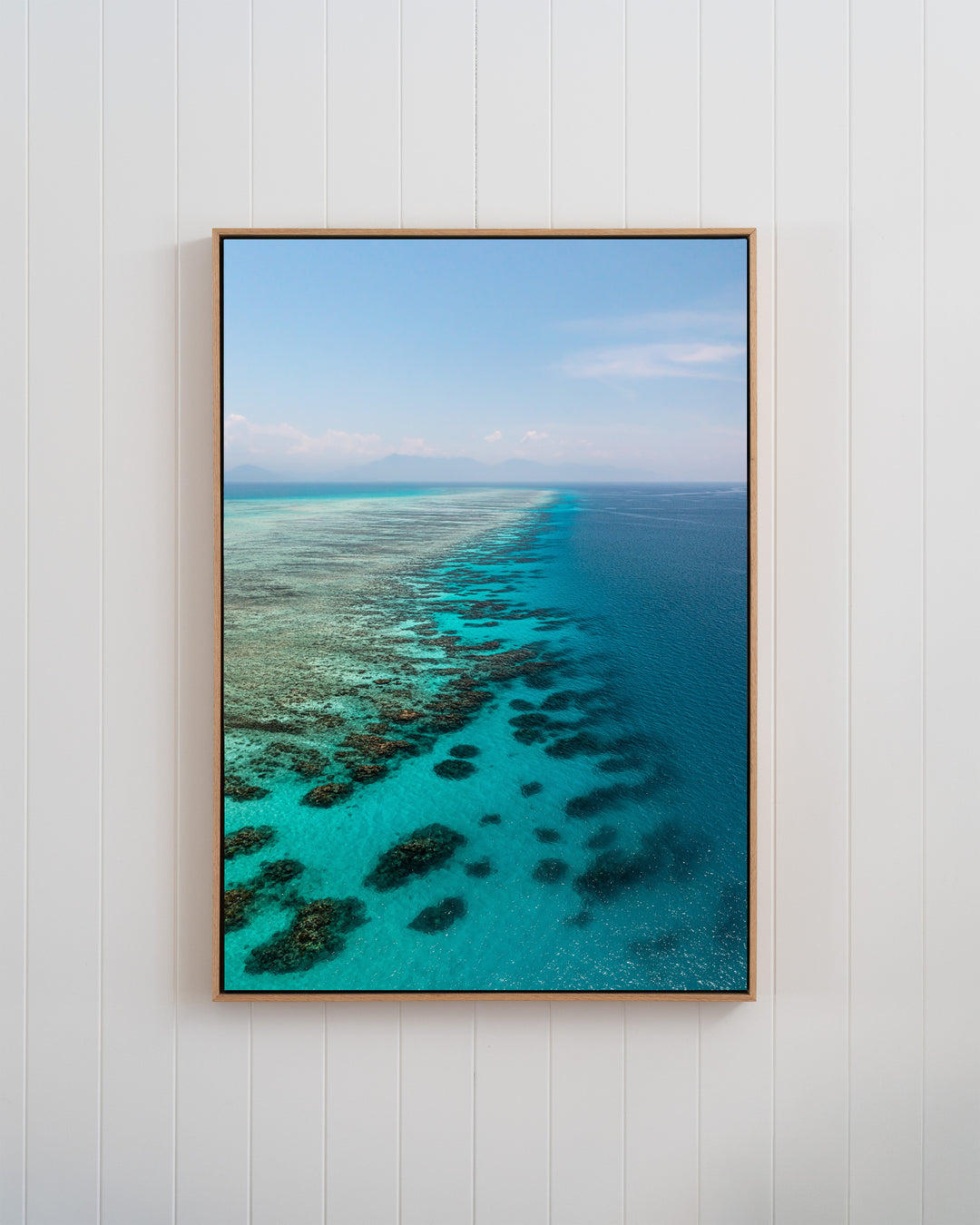 Tip of the Tongue | Tongue Reef - Aerial Photography