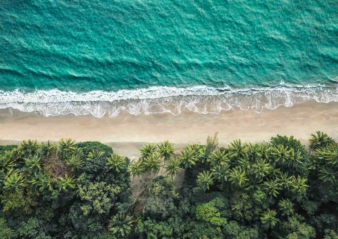 Tropical Tapestry – Abstract top-down view of Port Douglas Four Mile Beach with palm trees and teal waters | Unframed Rolled Print
