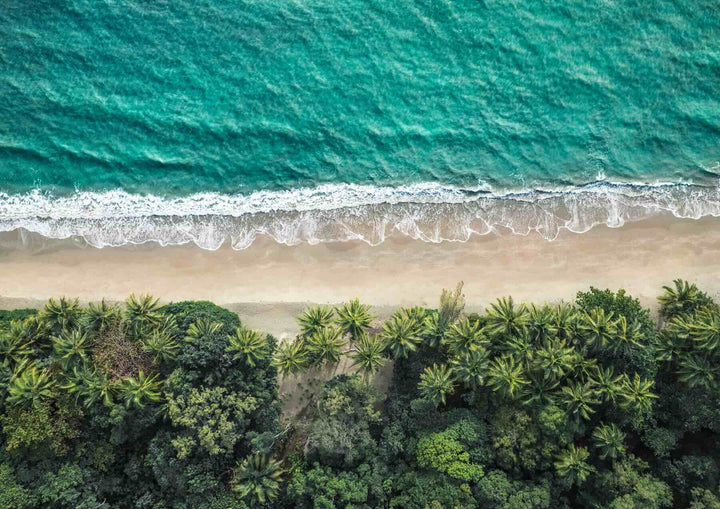 Tropical Tapestry – Abstract top-down view of Port Douglas Four Mile Beach with palm trees and teal waters | Unframed Rolled Print